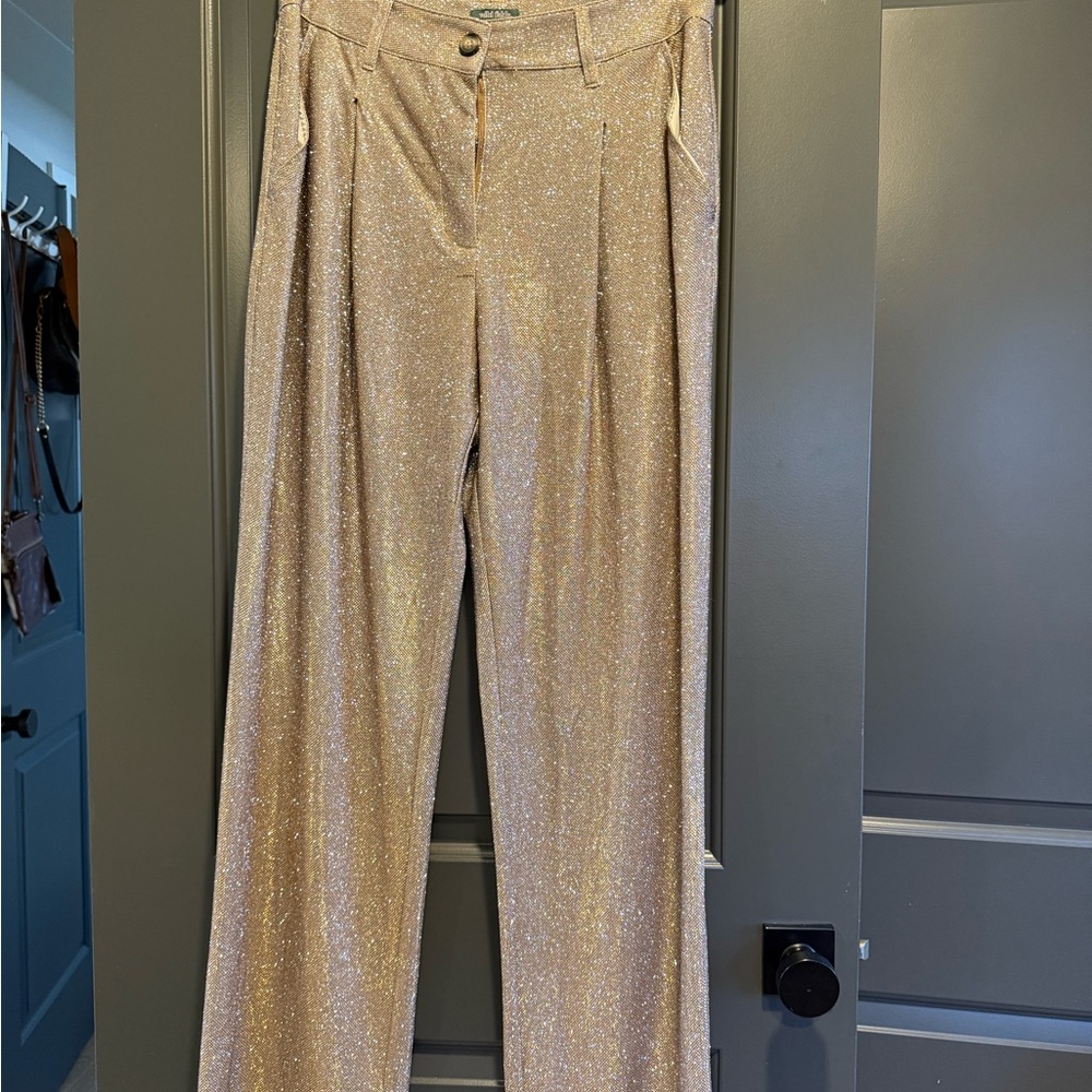 Wild Fable Glittering Gold Pants